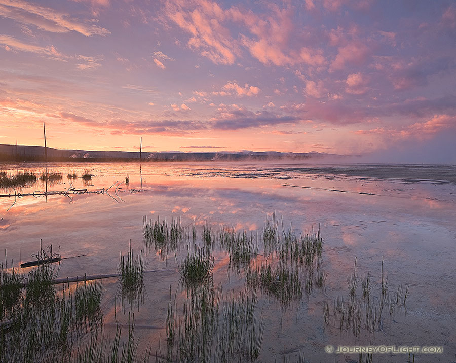 On a quiet evening in Yellowstone National Park I hiked out in the Middle Geyser area and witnessed the still water from the geysers reflected the fiery sunset in all directions.  The sunset albeit brief in the scheme of the day seemed to last longer than usual as the oranges gave way to pinks and then purples.  This was the image from near the end of the drama of sunset. - Yellowstone National Park Photography