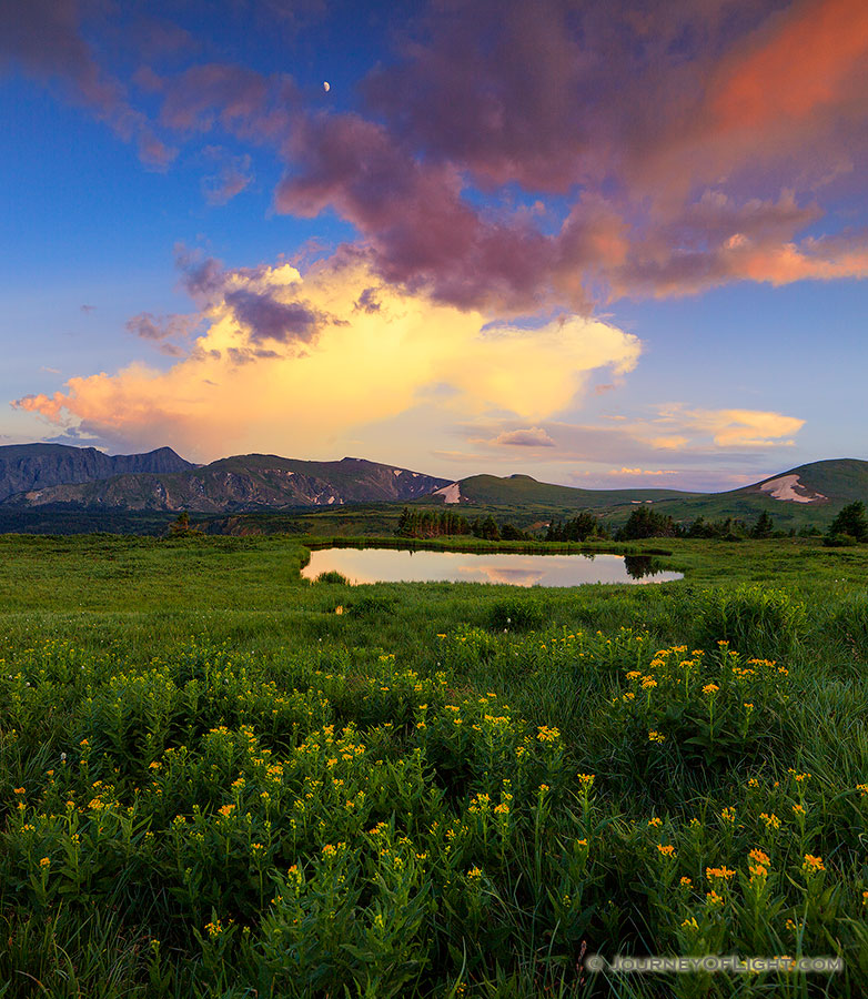 Thunder rumbles in the distance as a storm cloud moves over the mountains and wildflowers bloom near a tarn on the tundra in Rocky Mountain National Park. - Colorado Photography