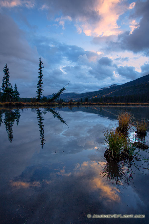 The beaver ponds in the Kawuneeche Valley on the western side of Rocky Mountain National Park in Colorado is a good place to view Moose and other wildlife. - Colorado Photography