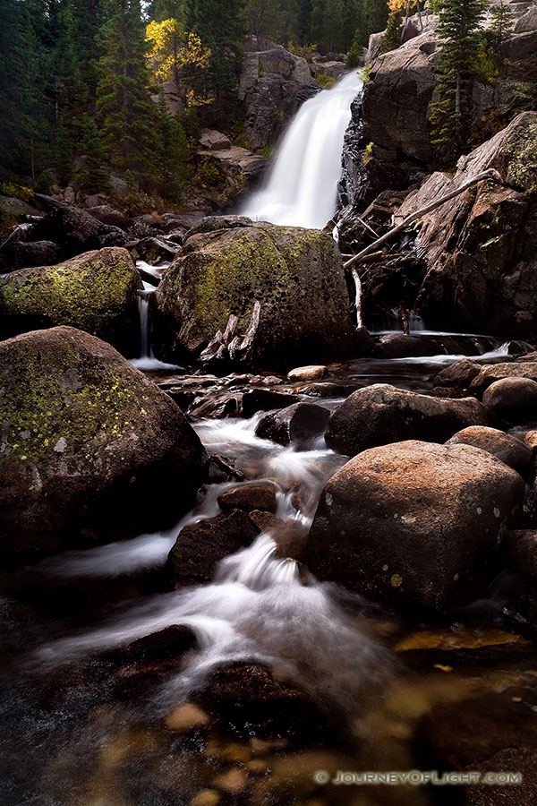 A popular hiking destination, Alberta falls at Rocky Mountain National Park roars downhill. - Rocky Mountain NP Photography