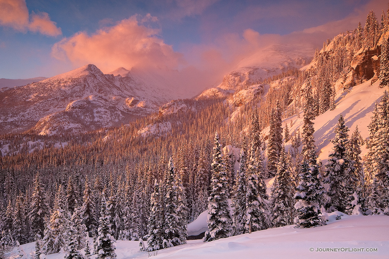 Sunlight illuminates the freshly fallen snow and the trees in the valley while Long's Peak is partially hidden by the blowing snow and clouds. - Rocky Mountain NP Picture