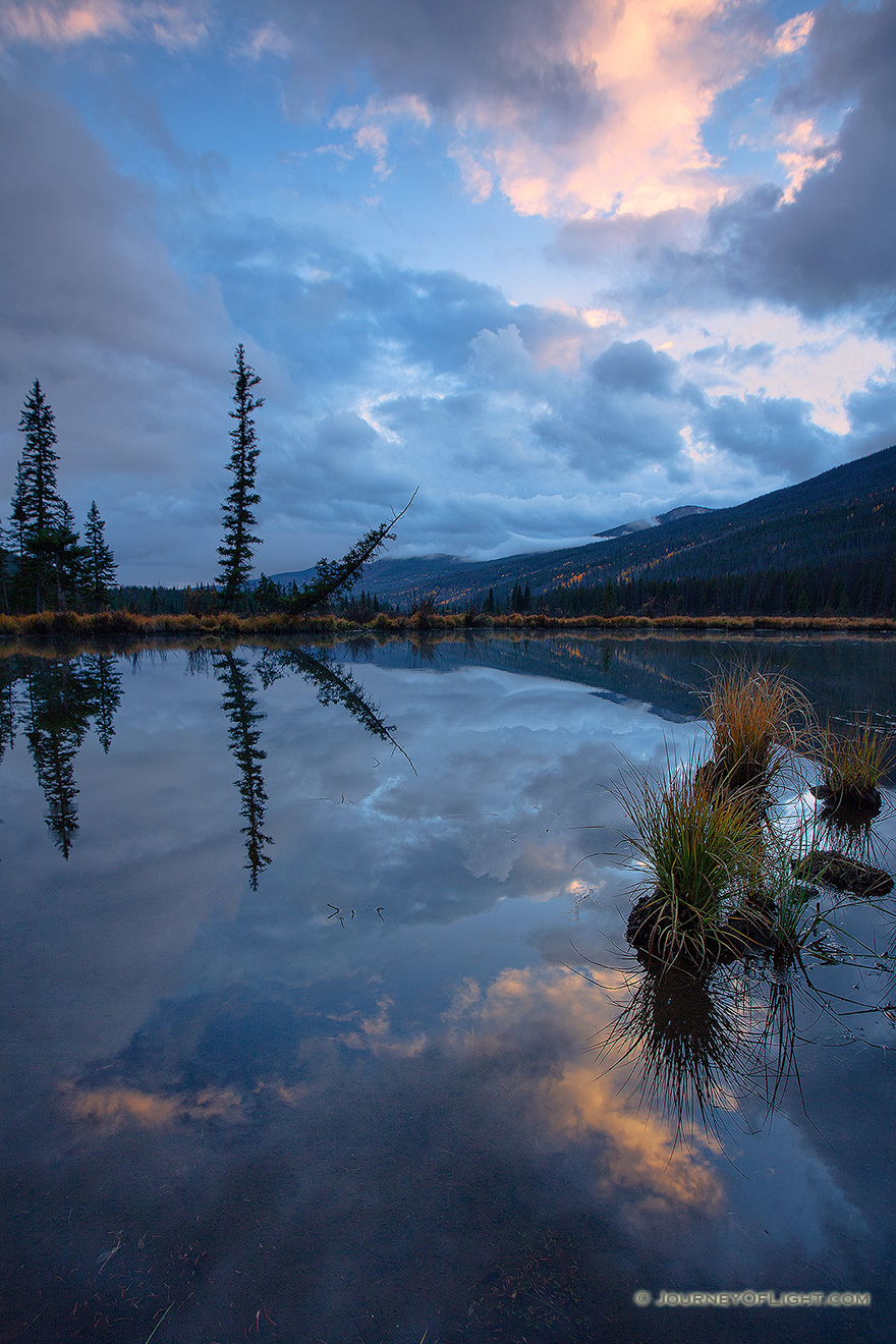 The beaver ponds in the Kawuneeche Valley on the western side of Rocky Mountain National Park in Colorado is a good place to view Moose and other wildlife. - Colorado Picture