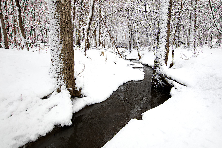 After a day of snowfall in eastern Nebraska, the OPPD Arboretum transforms into a bright winterscape. - Nebraska Photography