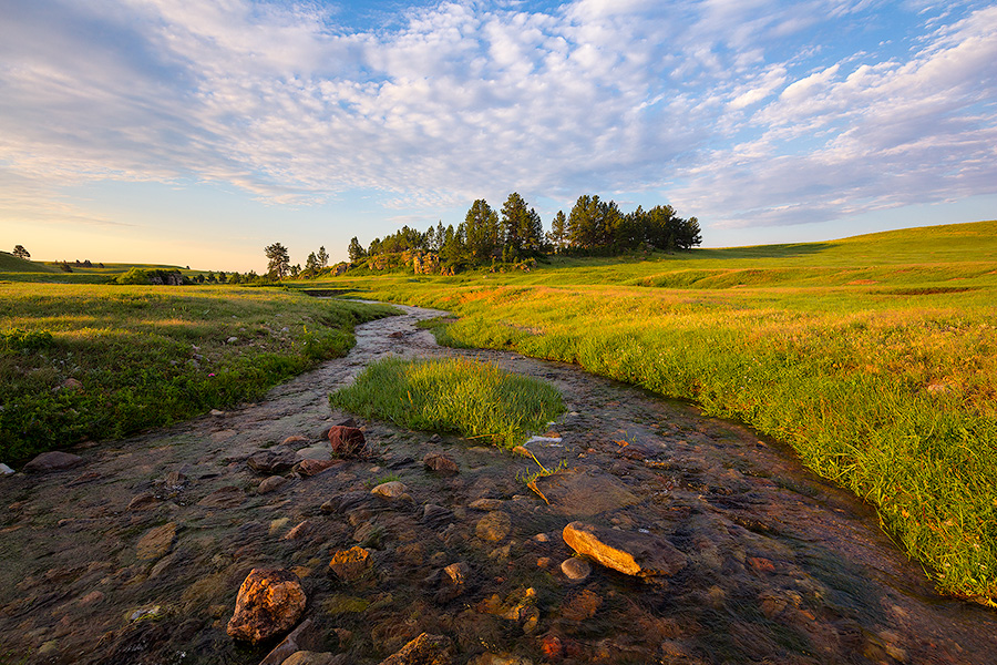 A stream meanders through the lush landscape at Wind Cave National Park in the Black Hills of South Dakota. - South Dakota Photography