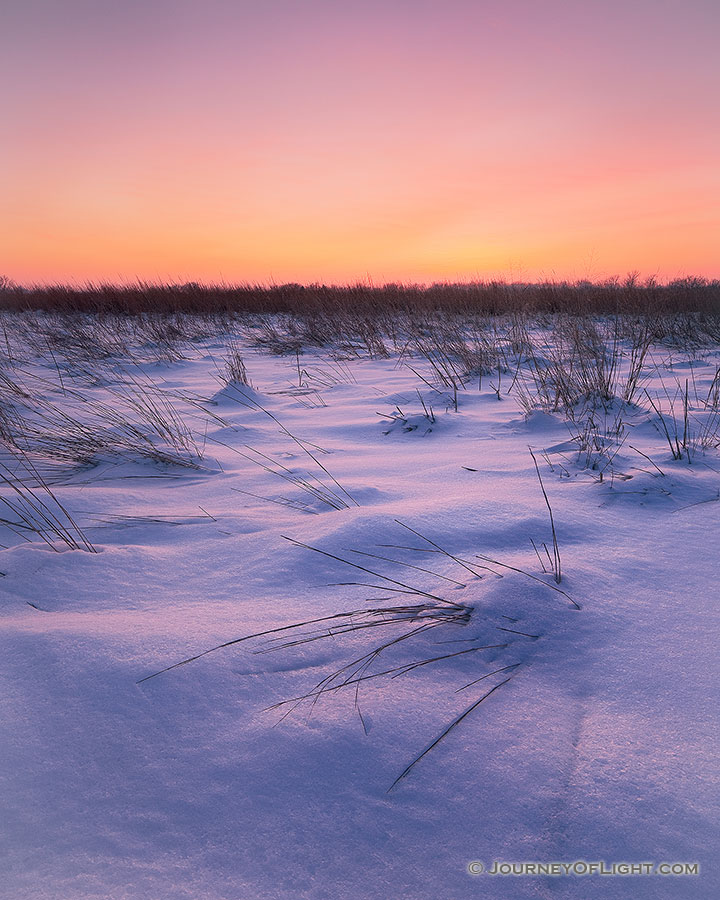 Evening descends on the cold, winter prairie at Boyer Chute National Wildlife Refuge near Ft. Calhoun, Nebraska. - Boyer Chute Photography