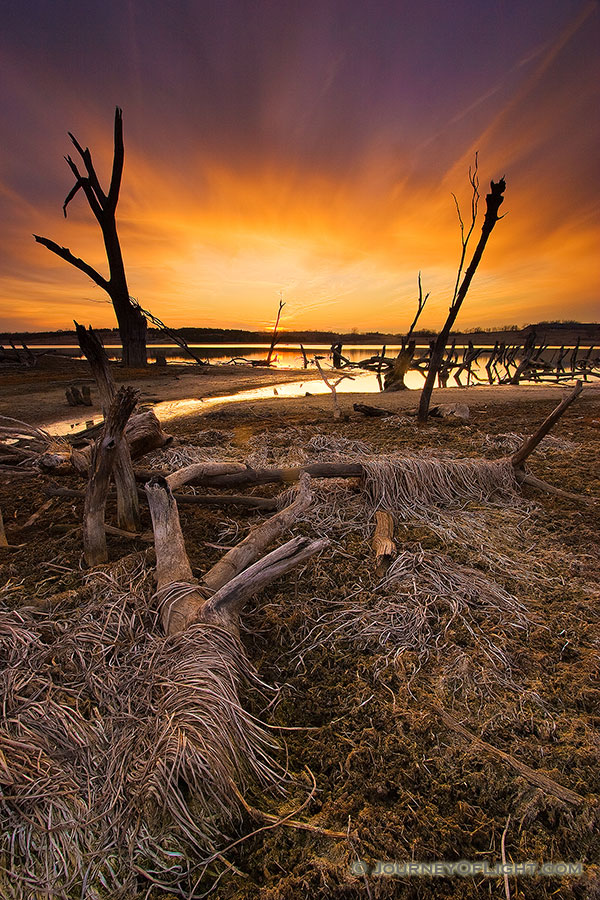 These 'Guardians' protect the exit of a little stream leaving Lake Wehrspann in Omaha, Nebraska. - Nebraska Photography