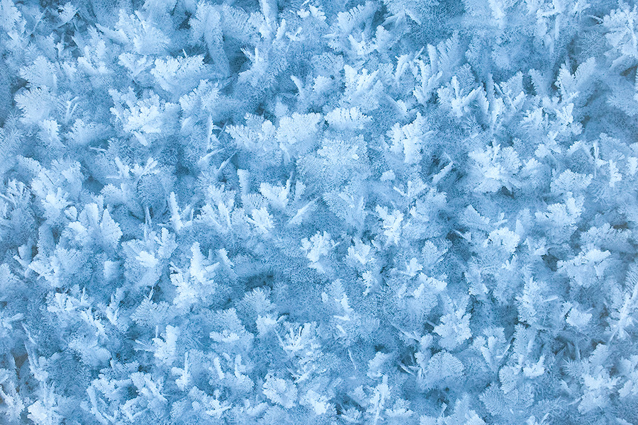 On a cold winter day snow crystals form on Lake Wehrspann at Chalco Hills Recreation Area in Nebraska. - Nebraska Photography