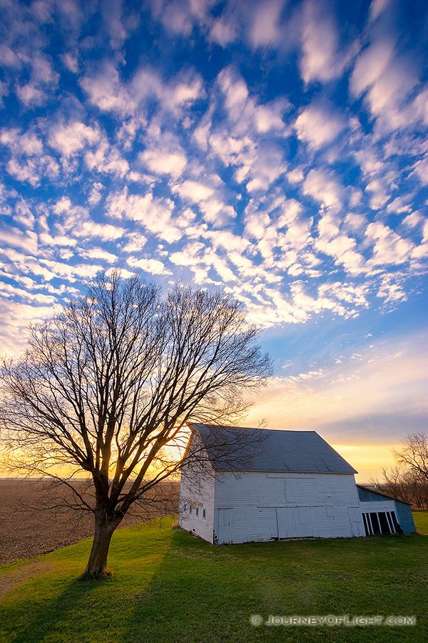 On an early spring evening in western Iowa, I photographed the sun setting behind an abandoned rustic barn and homestead which illuminated the nearby budding tree. - Iowa Photography