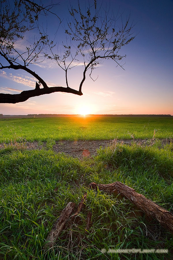 An early spring sunset descends upon DeSoto National Bend Wildlife Refuge. - DeSoto Photography