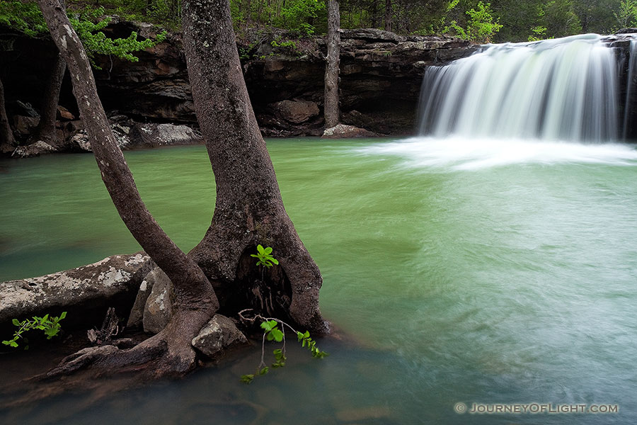 Water falls over Falling Water Falls just east of Pelsor (Sand Gap) Arkansas in the Ozark Mountains. - Arkansas Photography