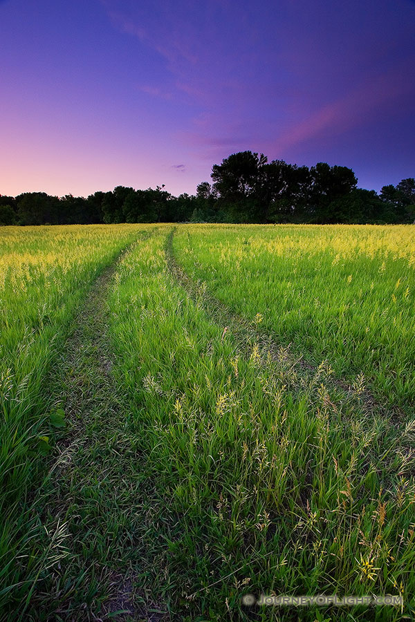 Just as the sun dipped below the horizon and I turned toward home, I found this country road that had been created through the grass.  I stopped quickly and was only able to make a couple of exposures before the all the light was gone. - Nebraska Photography