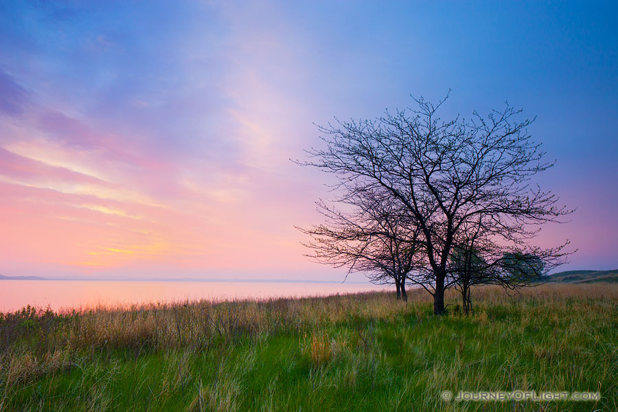 The spring rains often make the sandhill region of Nebraska a verdant green. It is one of my favorite times to become lost in the sea of grass in the central part of the state. On this beautiful morning I wandered out to North Marsh Lake in the Valentine National Wildlife Refuge and waited as the sun rose on the distant horizon illuminating the clouds in pastel pinks, oranges, and purples. - Valentine Photography