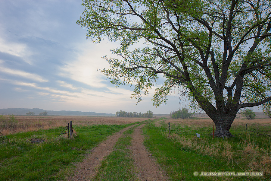 For some the Great Plains are synonymous with desolation, loneliness.  They avoid this land, but when they cant they pass through as fast as they can without even a glance.  For others the Great Plains are synonymous with solitude, soul-searching.  Those individuals embrace this land and find the sublime in the unending horizon and limitless sky.  They find comfort in the sound of prairie grass swaying in the breeze where others only find silence. - Valentine Photography