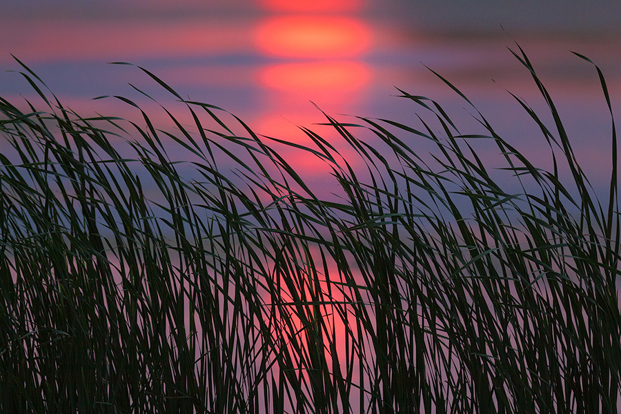 Along the marsh reeds and grass gently rustle in a quiet breeze.  The sun, an orange globe in the sky due to atmospheric haze, is reflected in the marsh at Jack Sinn Wildlife Refuge in eastern Nebraska. - Nebraska Photography