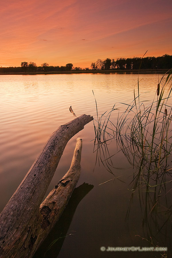 The Oxbow at DeSoto Bend National Wildlife Refuge ripples gently in the wind. - DeSoto Photography