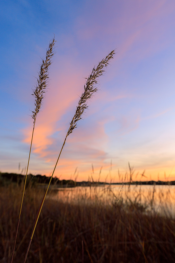 Scenic photograph of prairie grass on an autumn evening at sunset at Chalco Hills Recreation Area, Nebraska. - Nebraska Photography