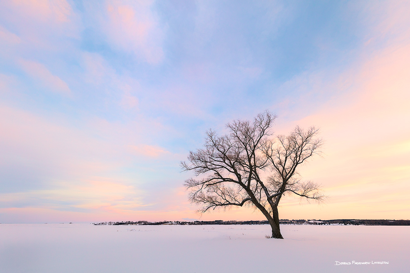 Scenic landscape Nebraska photograph of a beautiful sunset over a single tree at Branched Oak Lake, Nebraska. - Nebraska Picture