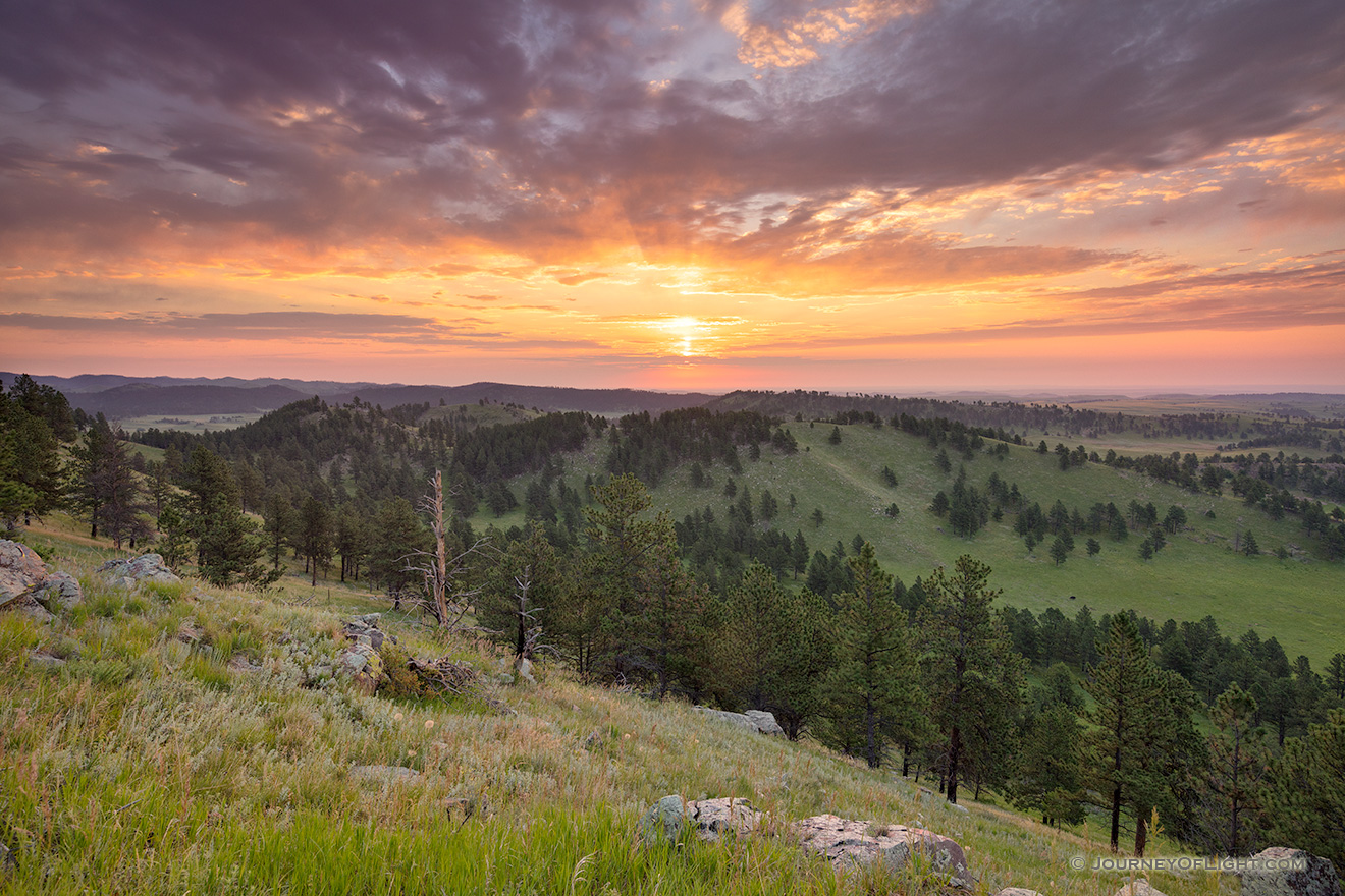 A scenic landcape photograph of a sunrise at Wind Cave National Park in western South Dakota. - South Dakota Picture