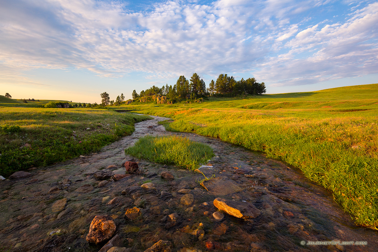 A stream meanders through the lush landscape at Wind Cave National Park in the Black Hills of South Dakota. - South Dakota Picture