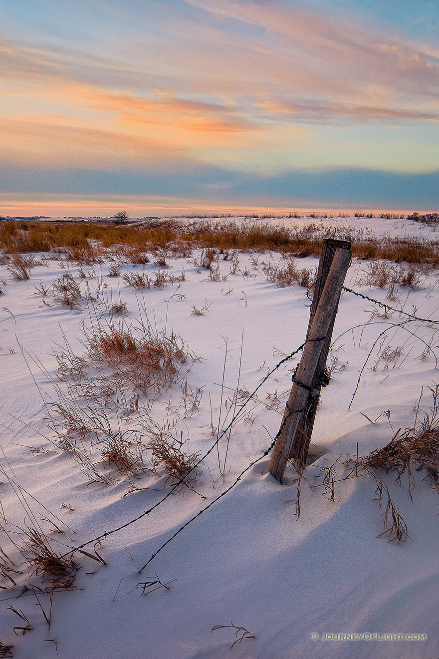 Barbed wire emergences from the snow to attach to a forgotten fence post at Jack Sinn Wildlife Management Area. - Jack Sinn WMA Picture