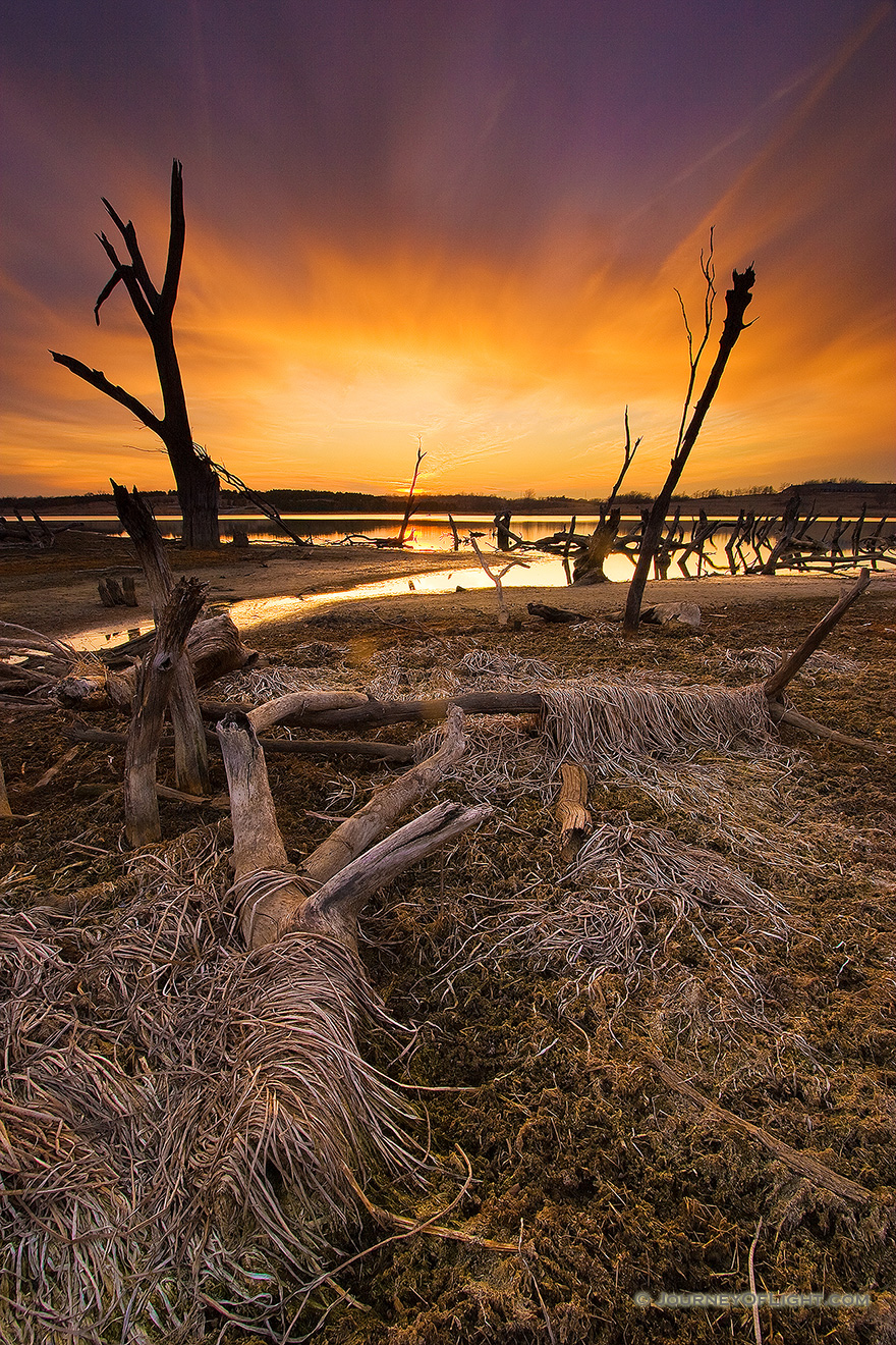 These 'Guardians' protect the exit of a little stream leaving Lake Wehrspann in Omaha, Nebraska. - Nebraska Picture