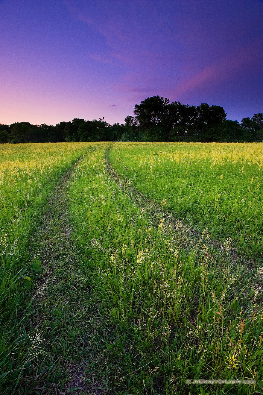 Just as the sun dipped below the horizon and I turned toward home, I found this country road that had been created through the grass.  I stopped quickly and was only able to make a couple of exposures before the all the light was gone. - Nebraska Picture