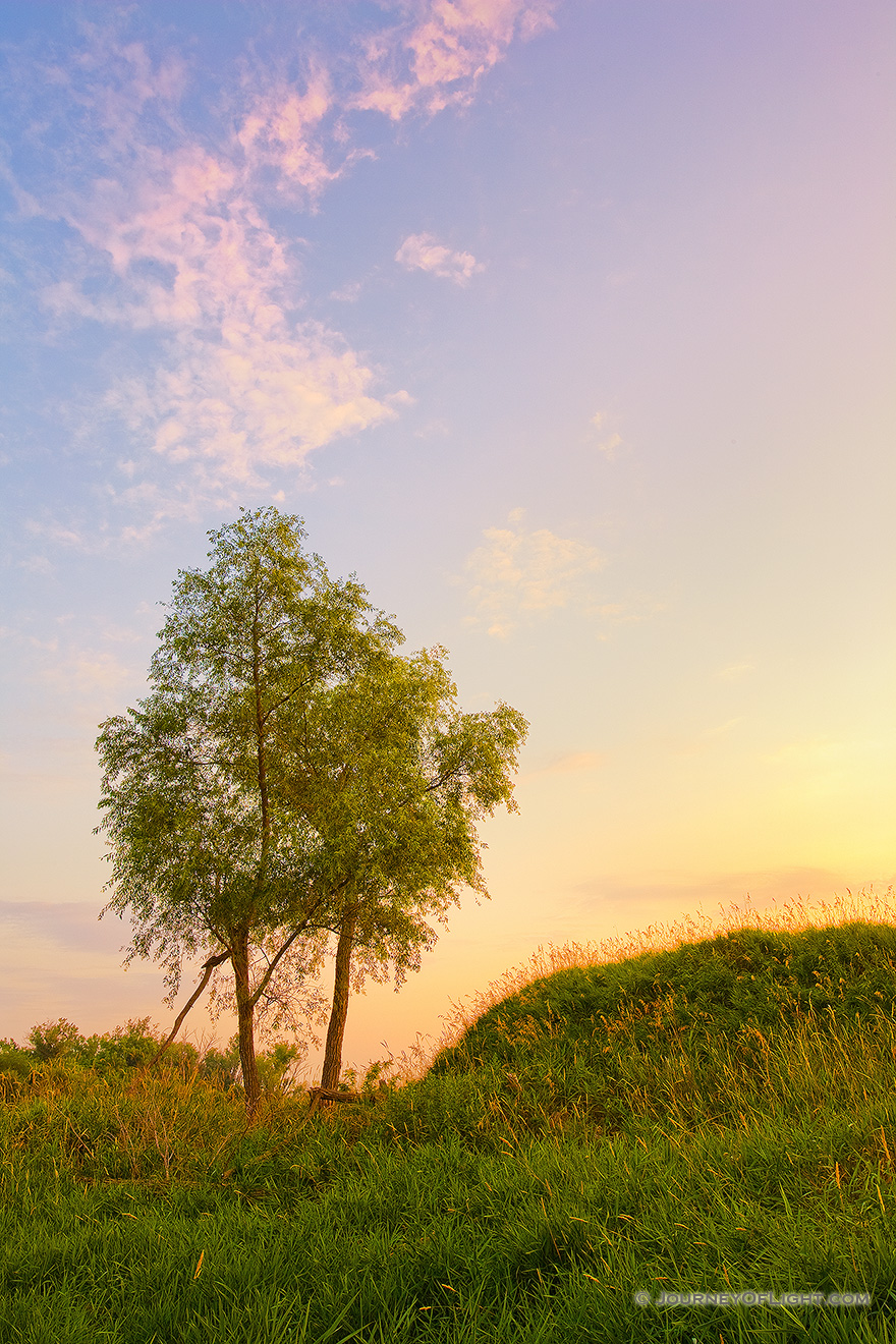 Two trees enjoy the sunset at Boyer Chute National Wildlife Refuge. - Boyer Chute Picture