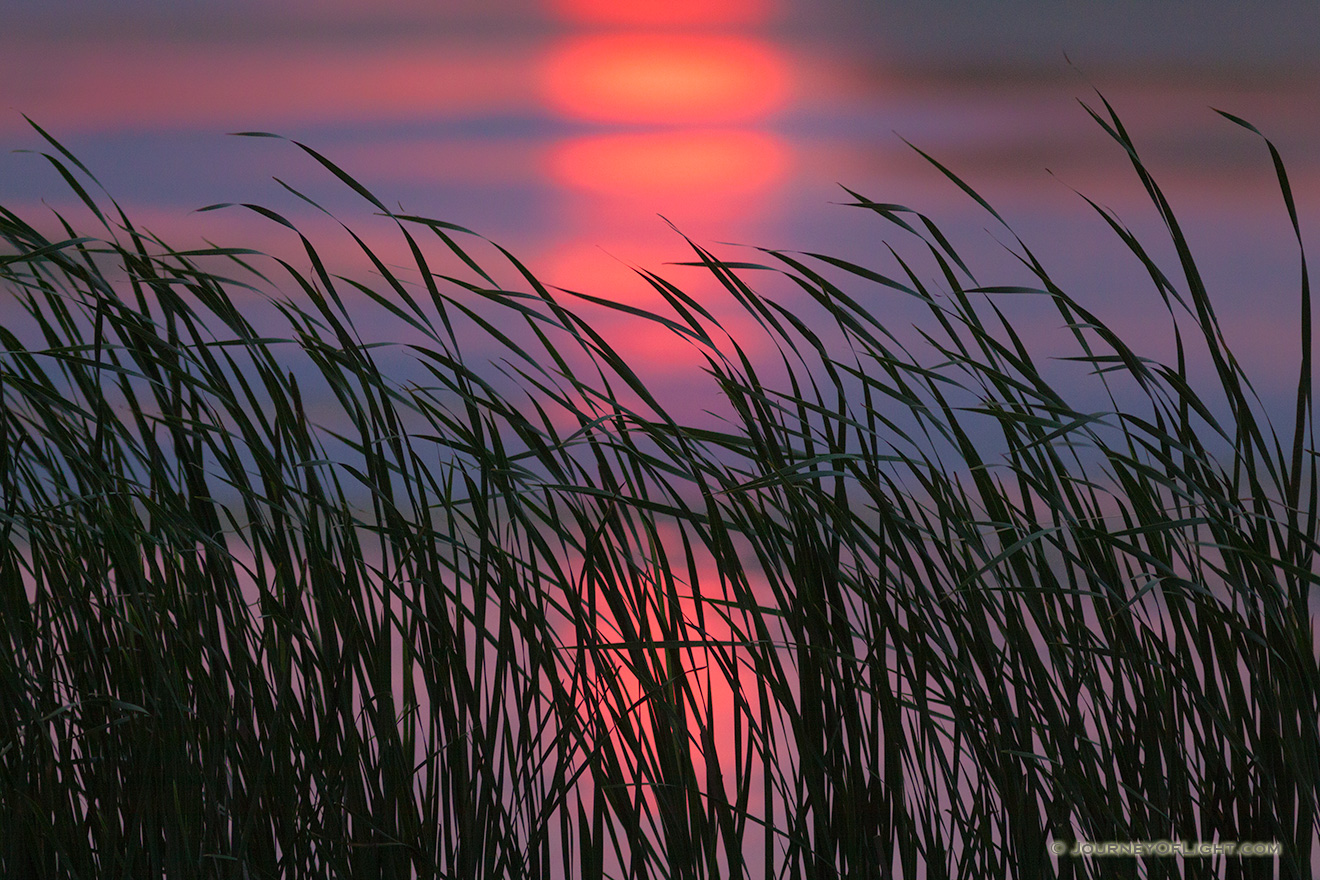 Along the marsh reeds and grass gently rustle in a quiet breeze.  The sun, an orange globe in the sky due to atmospheric haze, is reflected in the marsh at Jack Sinn Wildlife Refuge in eastern Nebraska. - Nebraska Picture