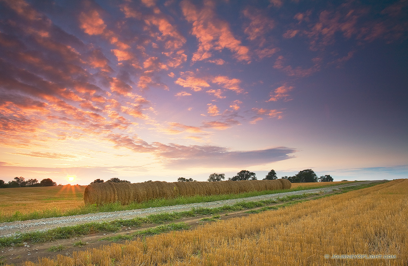 On a late summer evening, a collection of hay bales line a country road in Eastern Nebraska near Memphis State Recreation Area in the late summer. - Nebraska Picture