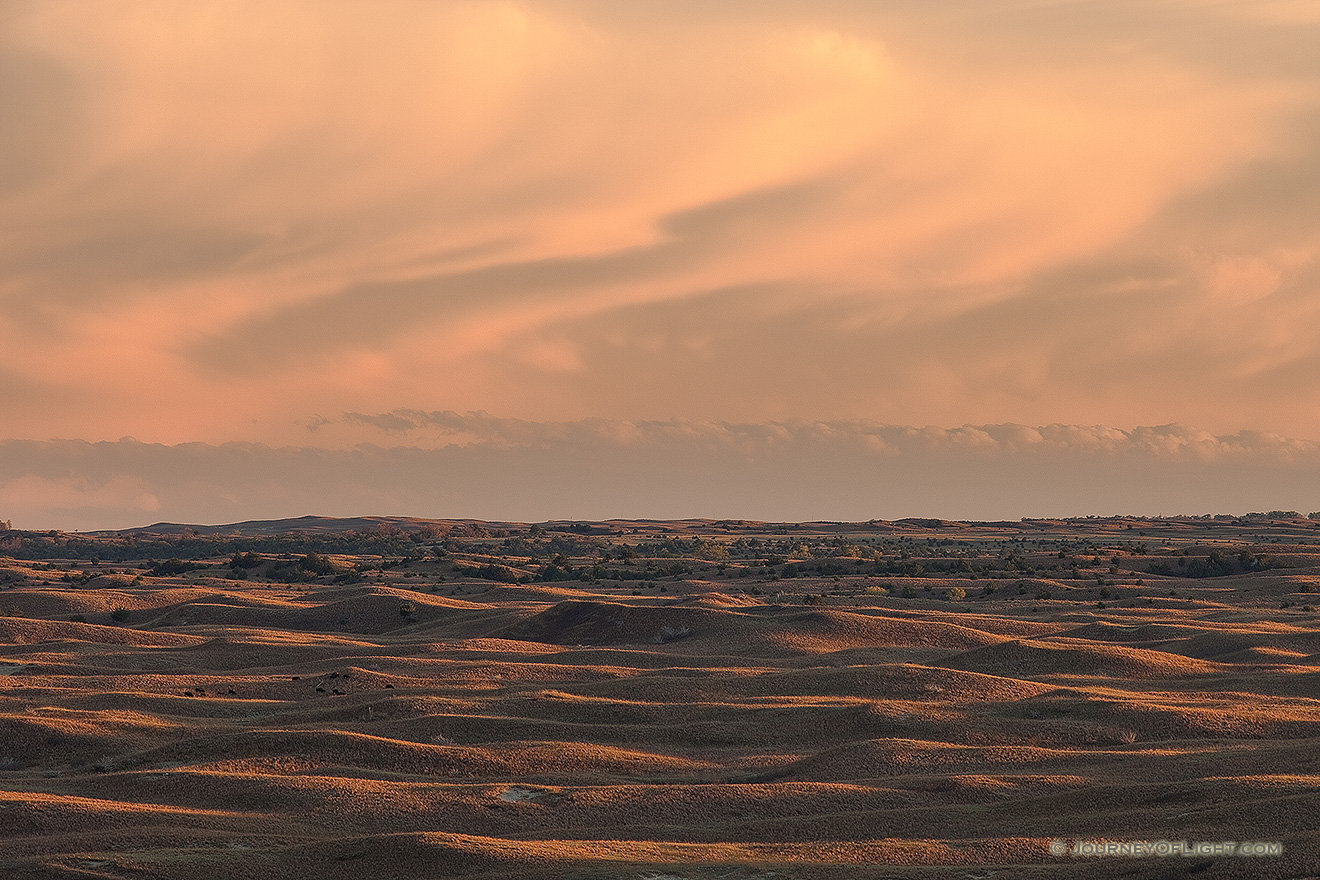 Thunderheads hover over the Sandhills during sunset while Buffalo graze on the grass in Brown County in north central Nebraska. - Nebraska Picture