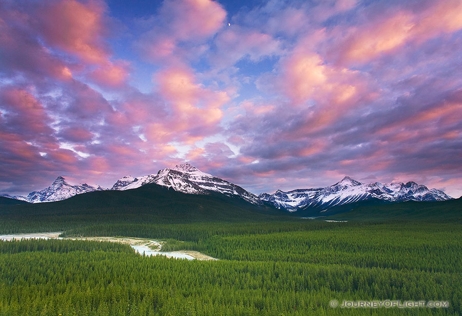 From a steep hill on the trail to Glacier Lake in Banff National Park, I could see the moon rise over the distant peaks. - Banff Photography