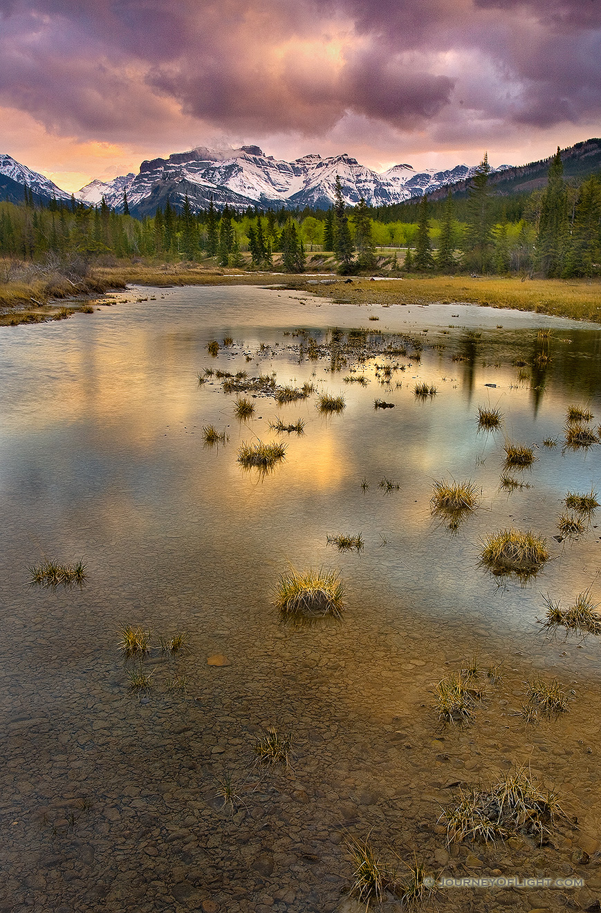 A tumultuous sky moves in over the Kootenay plains reflecting pools in the very late afternoon. - Canada Picture