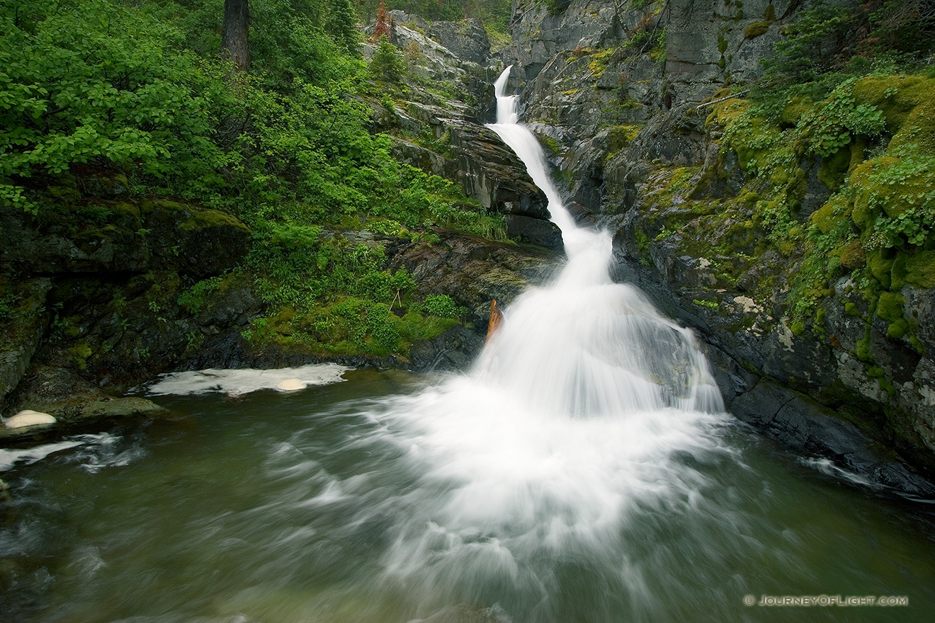 Aster Falls in Glacier National Park, Montana. - Glacier Picture