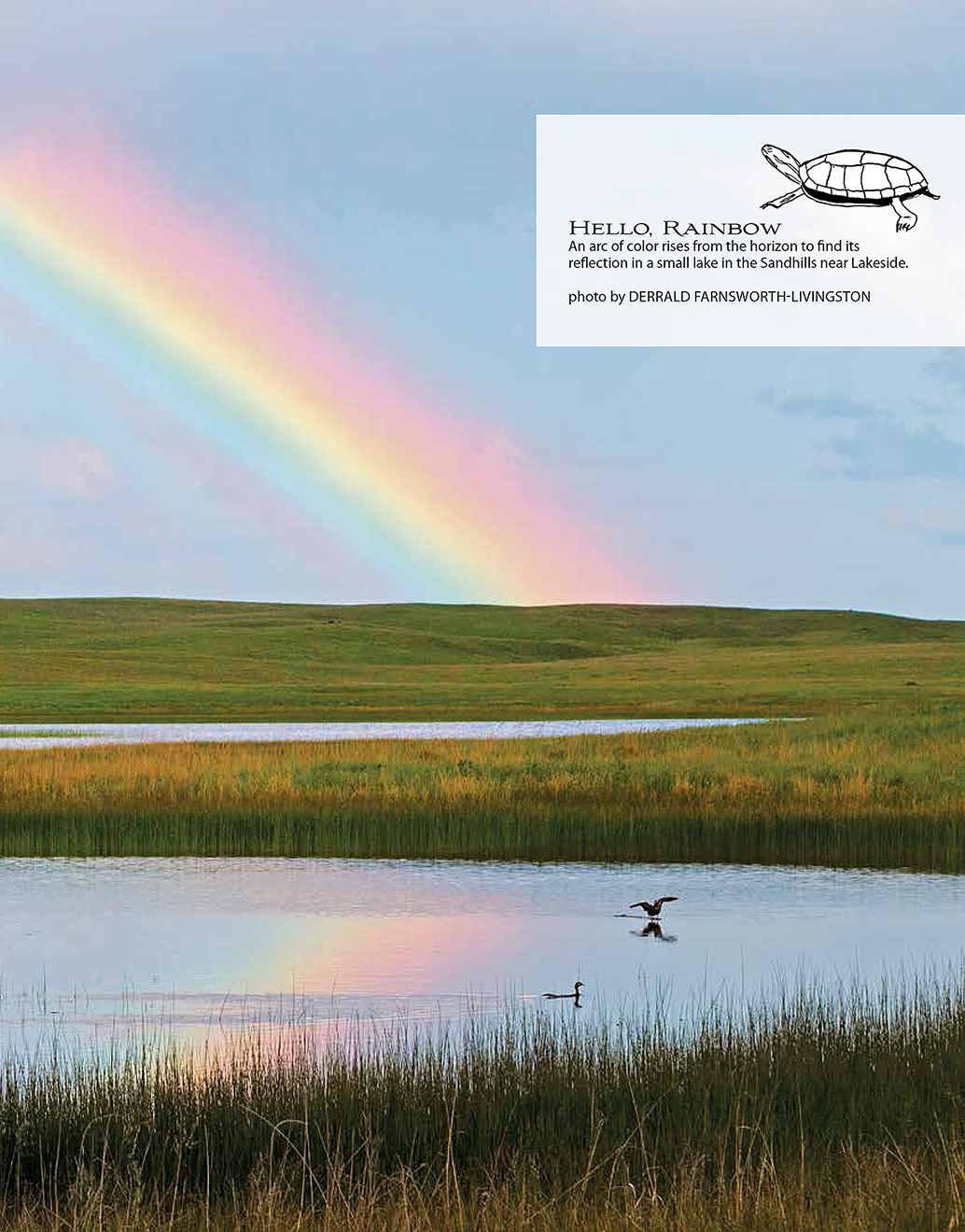 Nebraska Life March-April 2018 Sandhills Rainbow Feature - Nebraska Life.  Contributed Photograph. -  Picture